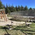 8 Person In Fjerritslev-by Traum